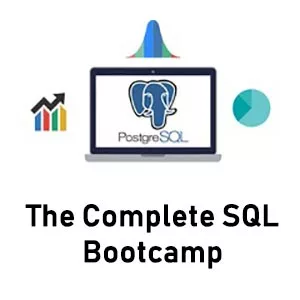 SQL bootcamp technical course on udemy