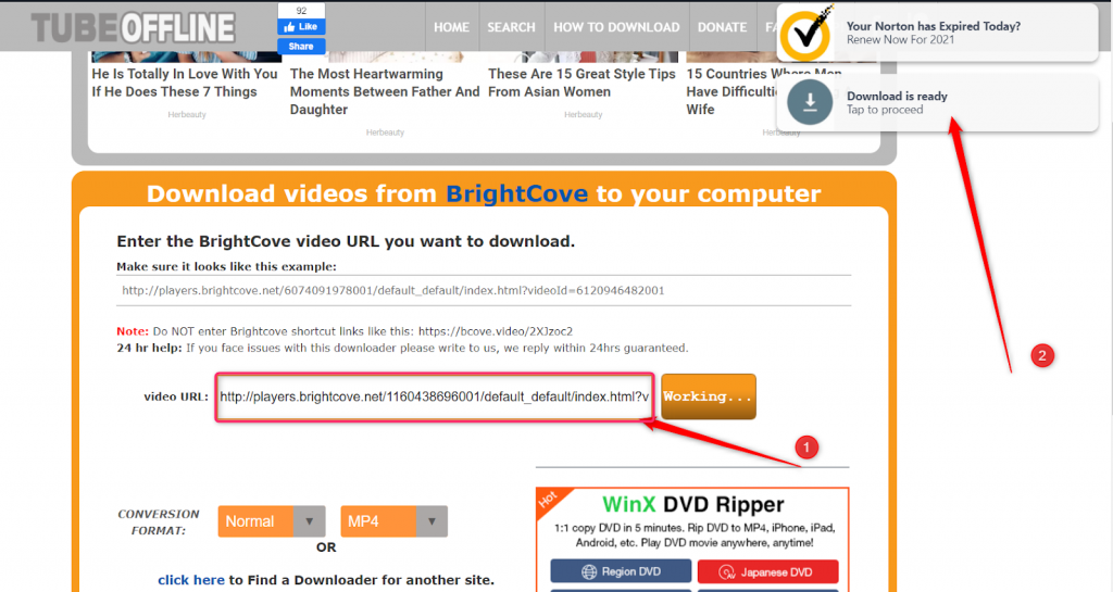 Tube offline - Brightcove Video Downloader