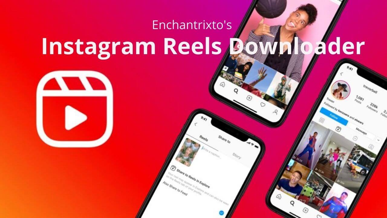Instagram Reels Downloader