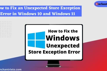 How to Fix an Unexpected Store Exception Error in Windows 10 and Windows 11