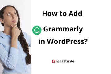 How to Add Grammarly to WordPress – Here Is How to Do It